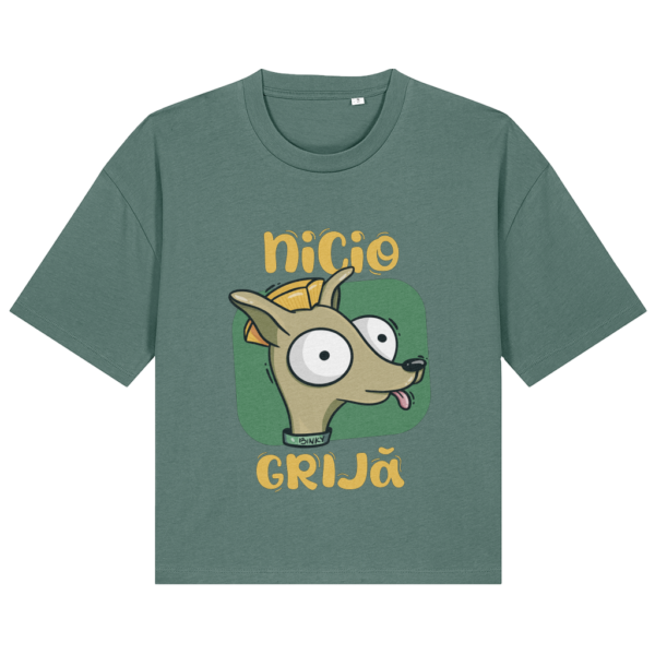 Tricou Boxy Nicio grijă