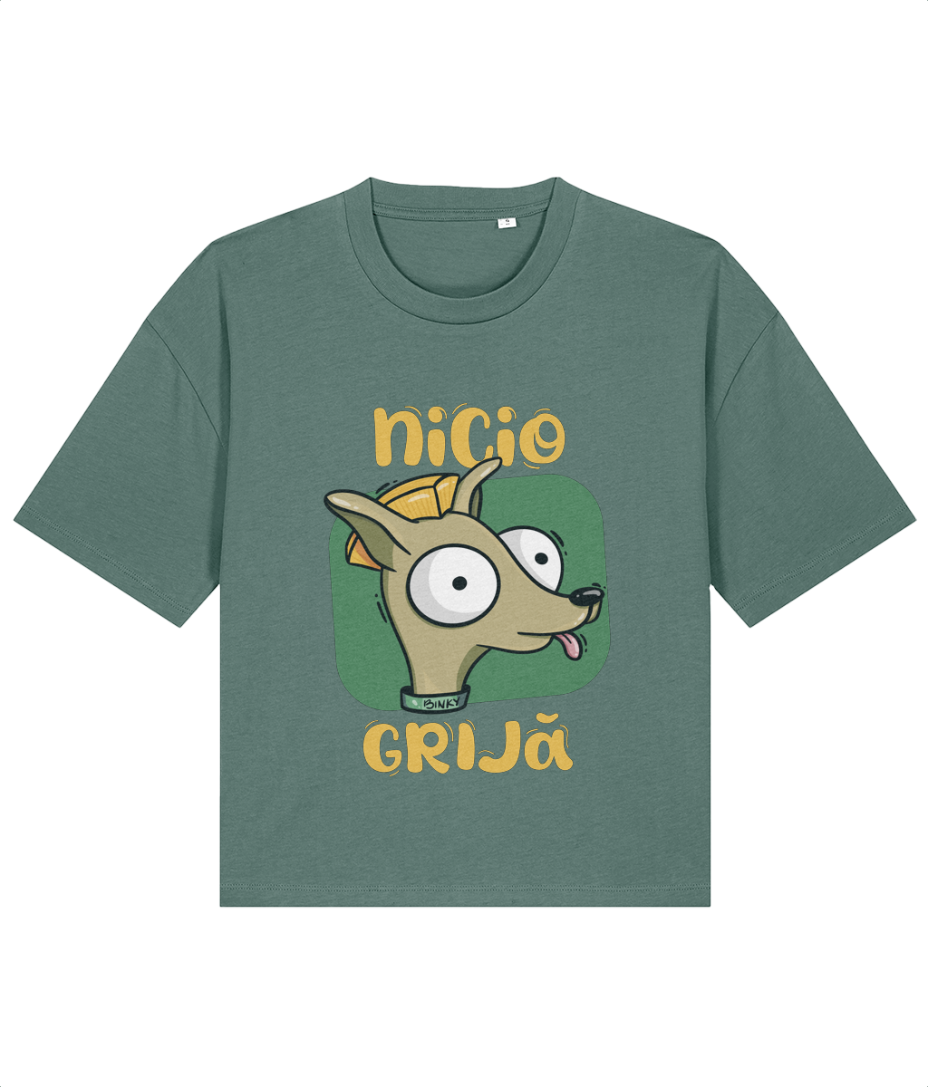 Tricou Boxy Nicio grijă